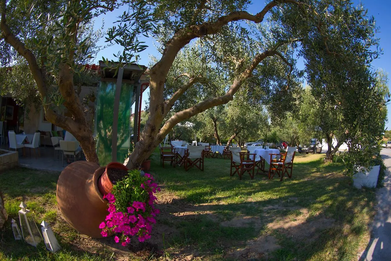 Evripidis Hotel Afytos Griekenland